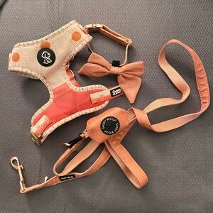 Ripley & Rue Harness, Sassy Woof Leash Collar Bow and Waste Bag Holder in Cider